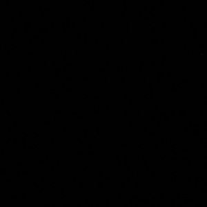 Meet your Posher, Caila